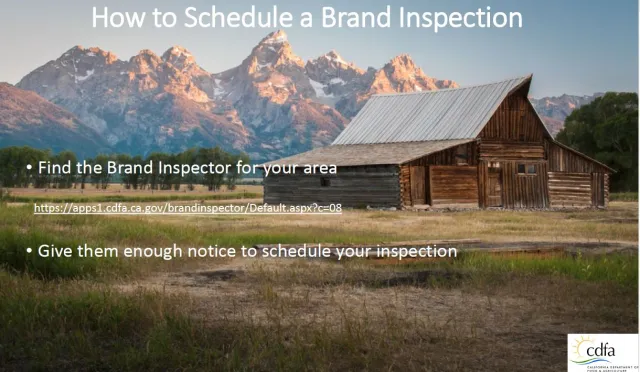 Brand Inspection Presentation
