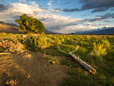 Scenic Owens Valley meadow in the afternoon