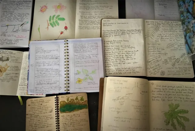 journals