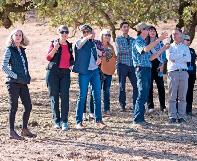 John Gorman, fourth from right, pointed out where the Kincade Fire burned Stuhlumller Vineyards property, forcing him to sell the cattle and take a total loss on the smoke-damaged wine grapes.
