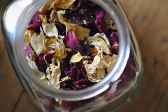 Dried Flowers / Photo: Beatrize / Pixabay