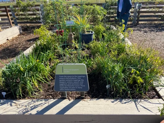 Spaghetti Garden