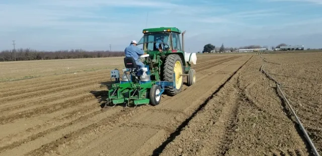 Planting