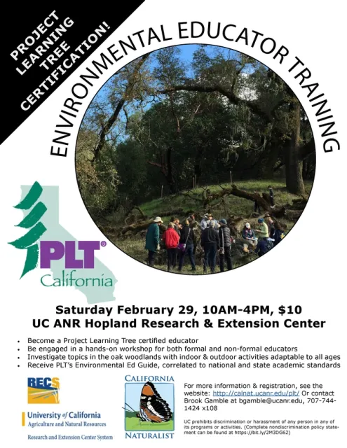 PLT Workshop flier