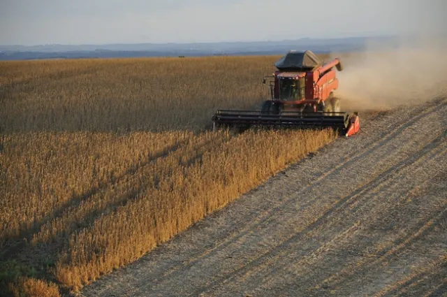 Reductions in nitrous oxide emissions from coal-fired power plants have increased yields of soy and corn crops.