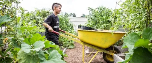 gardening