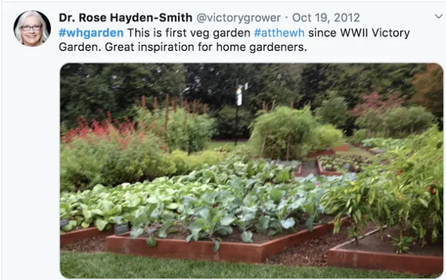 En el 2012, Hayden-Smith transmitió en vivo por Twitter su visita al huerto de la Casa Blanca.