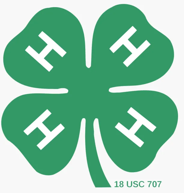 4H Youth Development Program