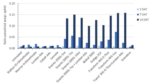 Fig. 7. Ratio parasitoid wasps to aphids-Tulelake Insect Trial