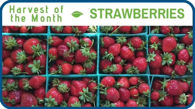 Strawberries