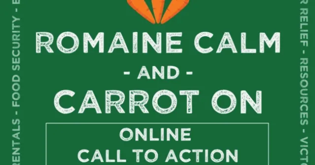 Romaine calm logo