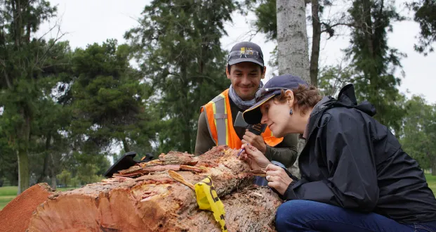 Urban Foresty Program in the Field