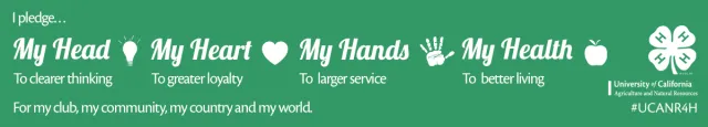 CA4H Pledge