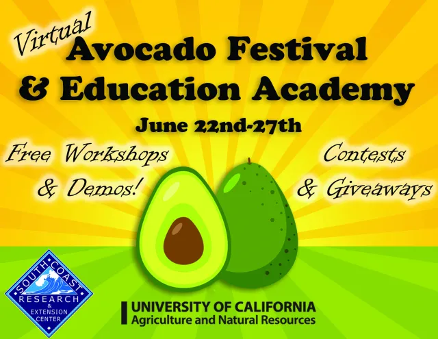 Avocado Festival 2020
