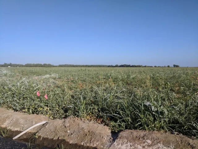 IMG 20190730 080957