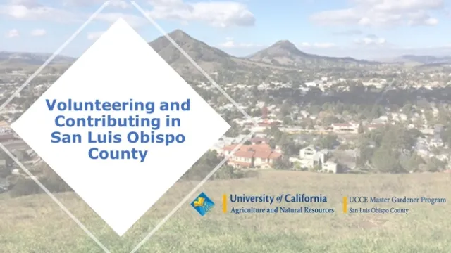 Volunteering in SLO