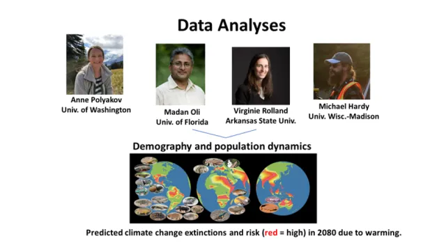 Data Analyses Research Page