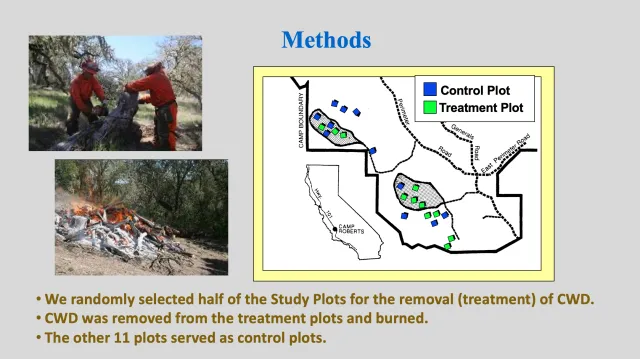 CWD Removal PP Slide