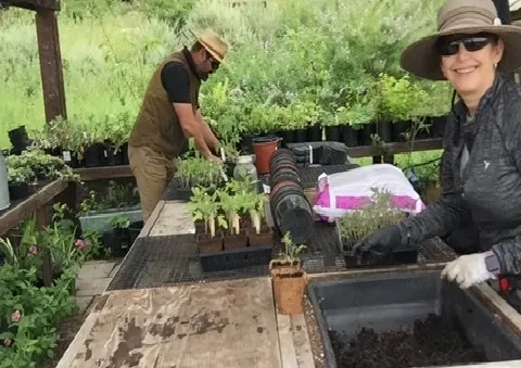 Ned Lange and Devra Laner preparing tomoto starts. both wearing large gardening hats while working at a wooden garden table.