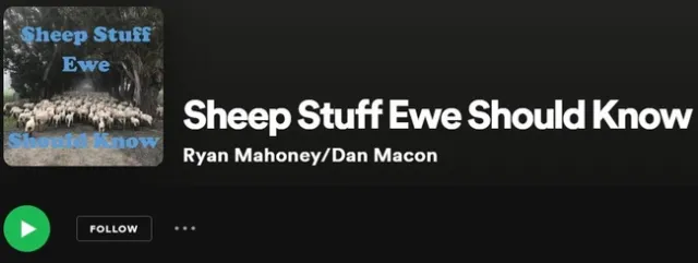 podcast title