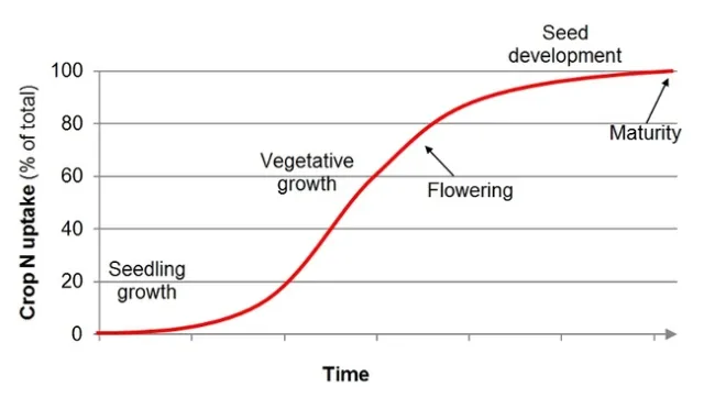 Crop N Uptake general