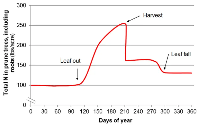 Prune curve