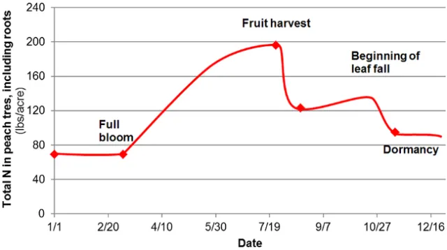 Peach curve
