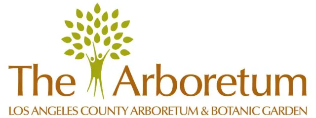 arb19