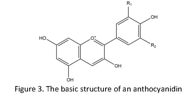 figure 3 flavor
