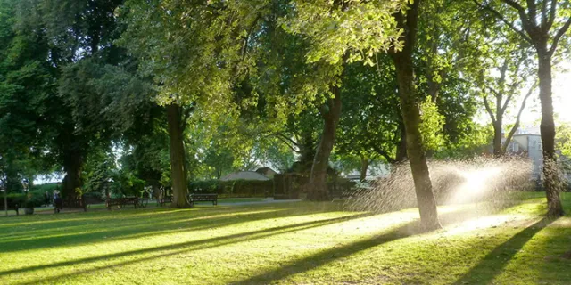 summer in a park