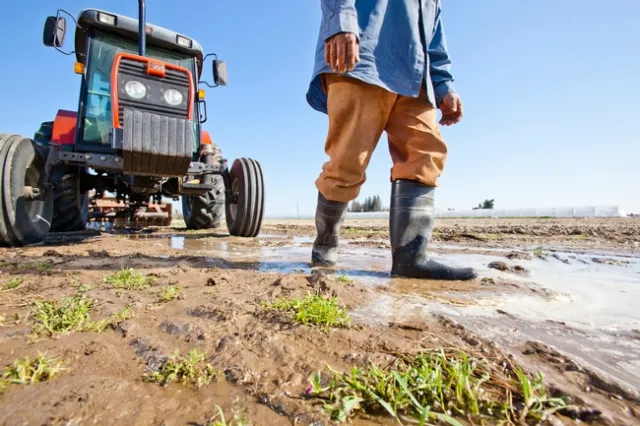 SGMA Farmworkers