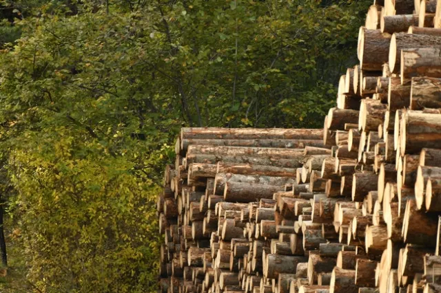 wood products