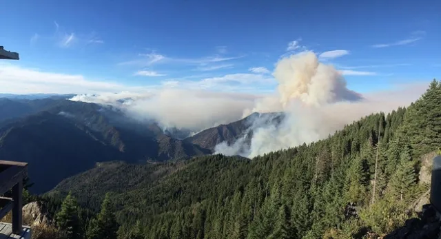 wildfire