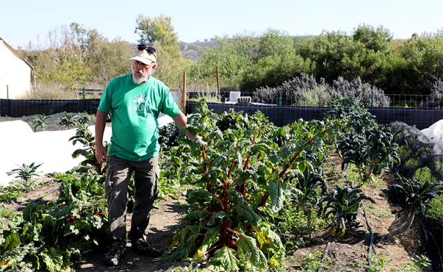 farmer