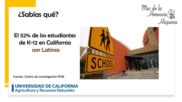 K-12