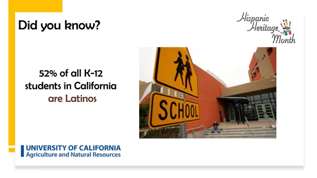 K-12