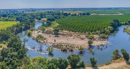 riverdance farm