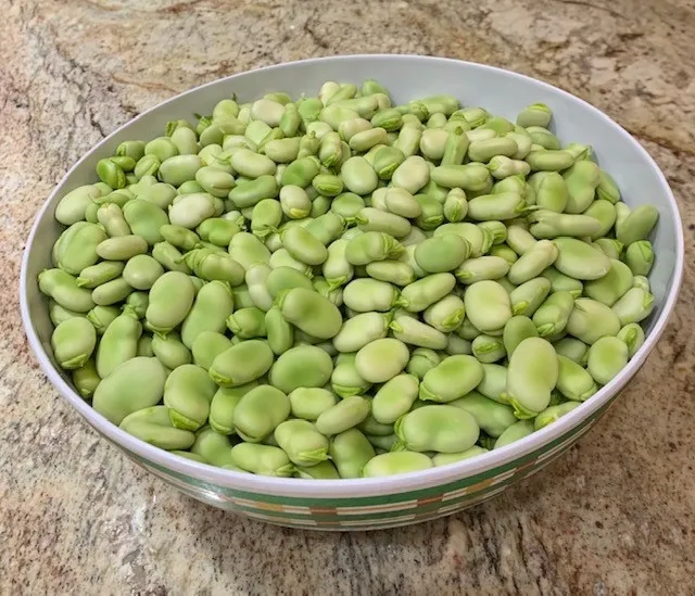 Shelled Beans