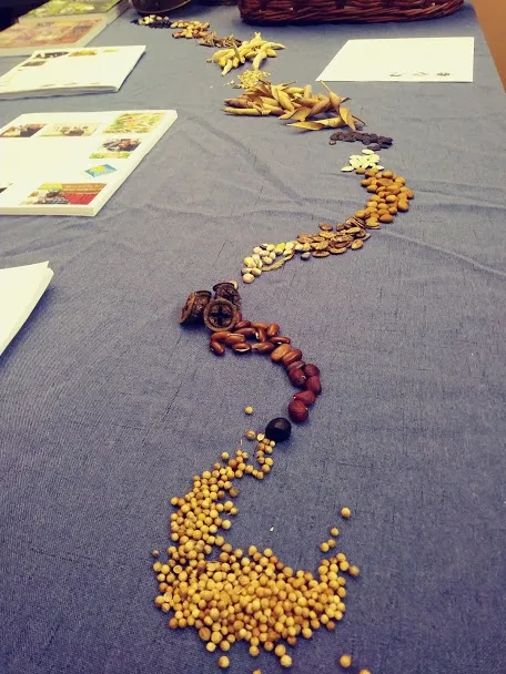 seed stream