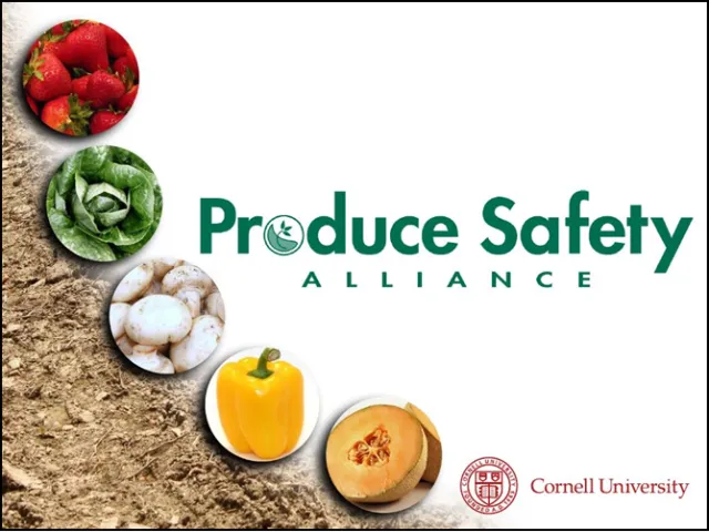 product safety slide