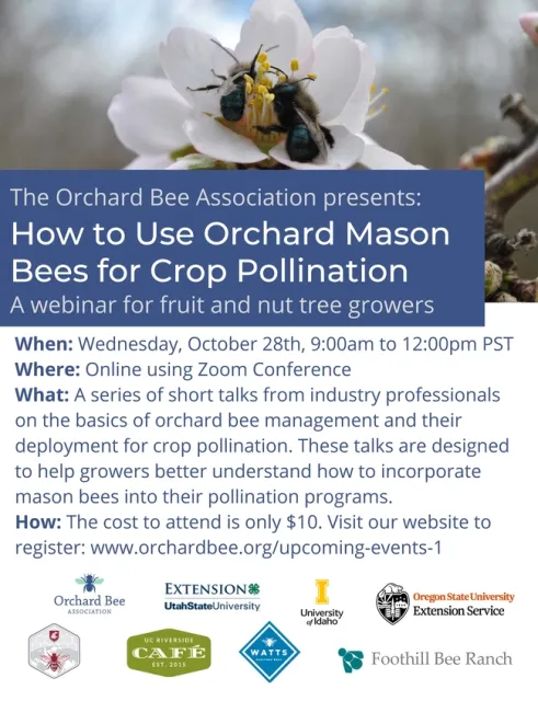 flyer mason bees
