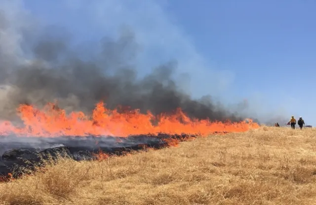 sfrec fire (3)