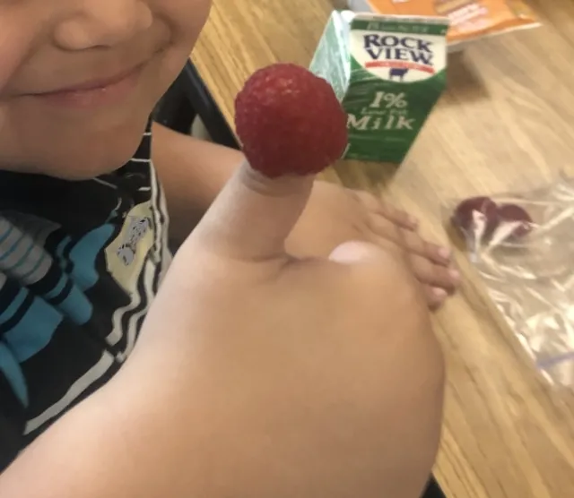 Raspberry tasting