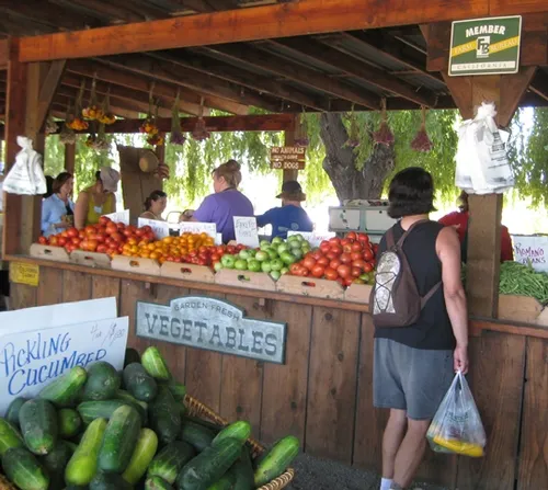 farm stand at Smith Family Farms