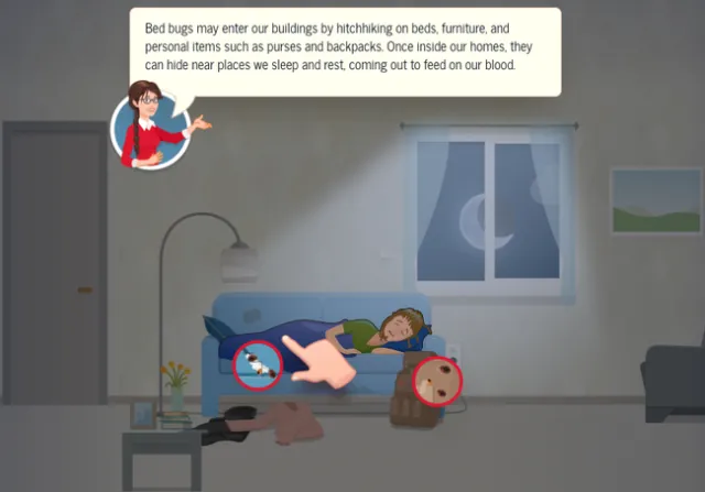 While people rest and sleep on sofas and beds, bed bugs come out to feed.