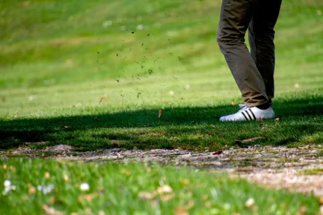 Professionals who managed landscapes like lawns, golf courses, parks, cemeteries and school grounds are searching for new ways to tackle weeds on landscapes. (Photo: Pixabay)