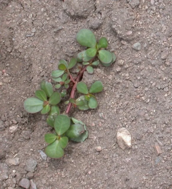 Blog Pt. 3 Photo 11