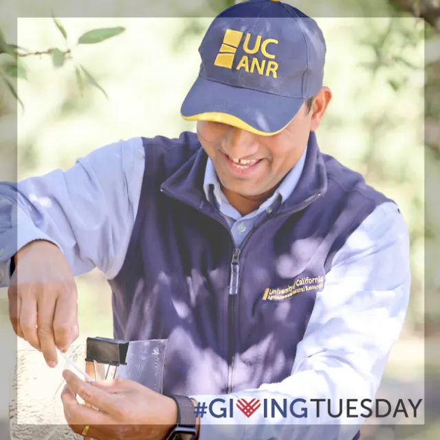 Man with UCANR Cap