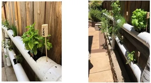 Herb Garden