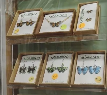 Insect-themed jewelry is a go-to item in the Bohart Museum of Entomology (Photo by Kathy Keatley Garvey)
